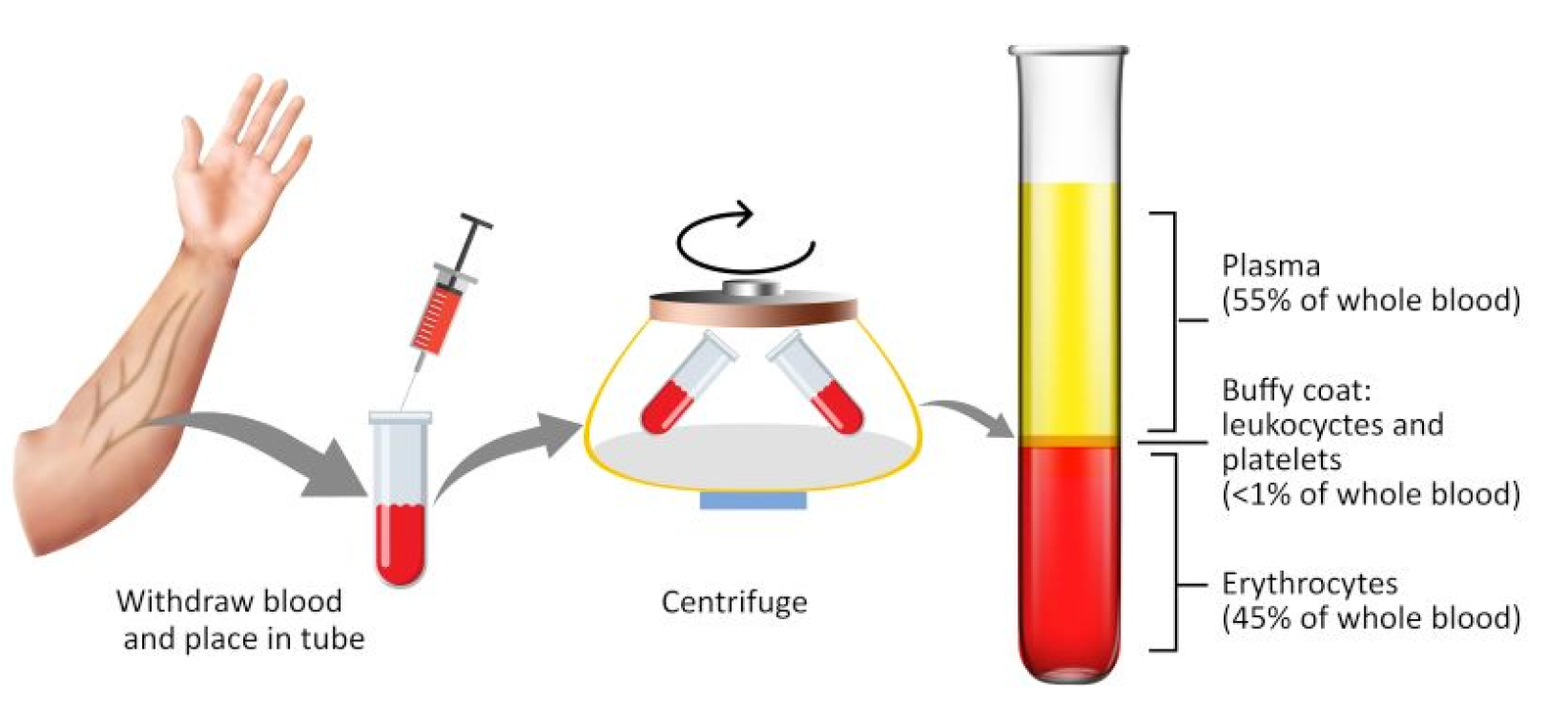 PRP tube plasma rich platelet